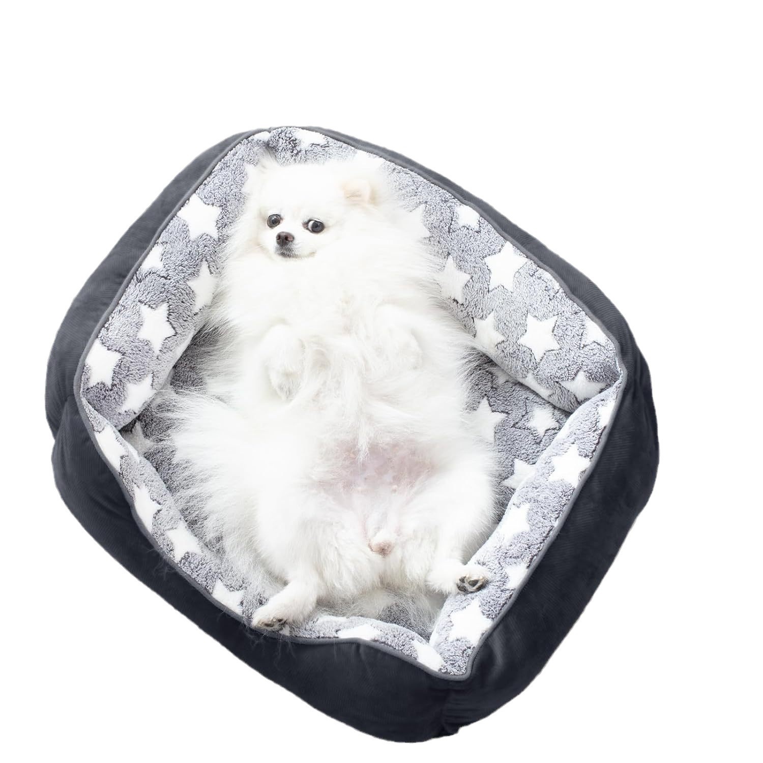 宠物狗狗用品/狗窝/库存宠物用品/宠物猫宠物用品/捕猫笼白底实物图