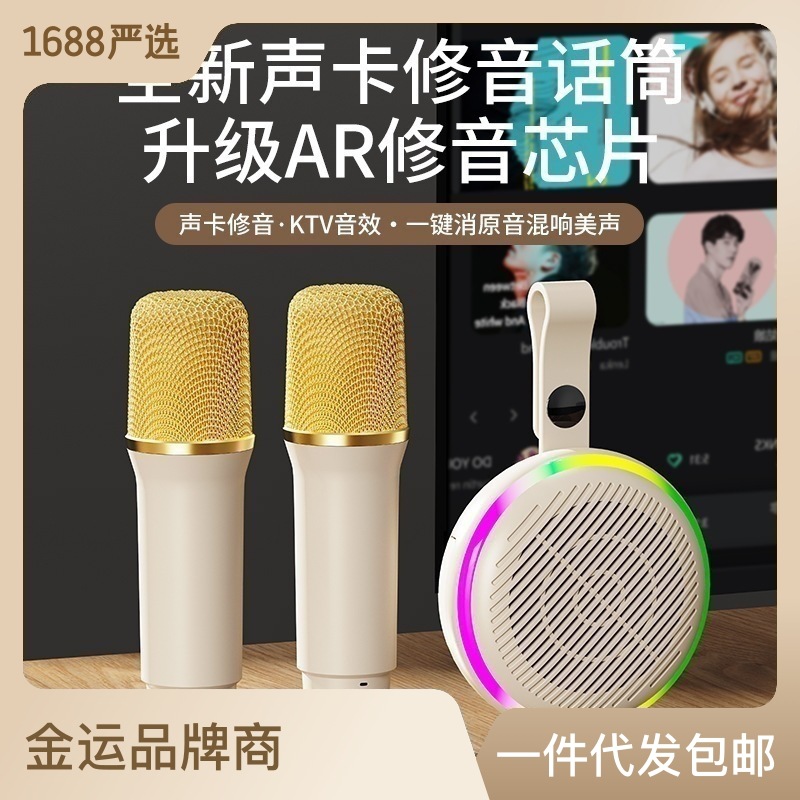 K6 Home karaoke waterproof high-power subwoofer, outdoor microphone, Bluetooth speaker, wireless microphone