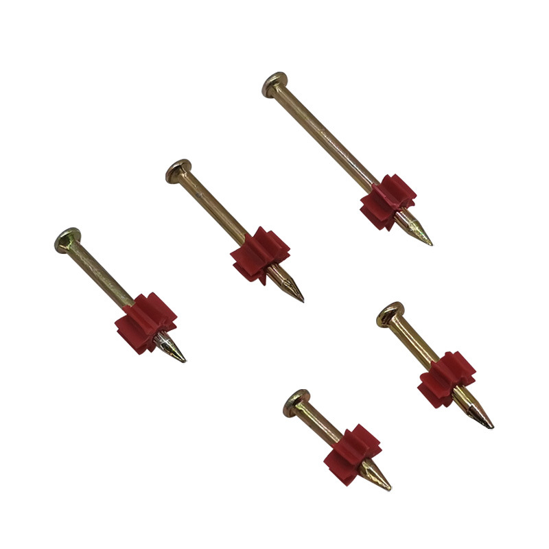 import白底实物图