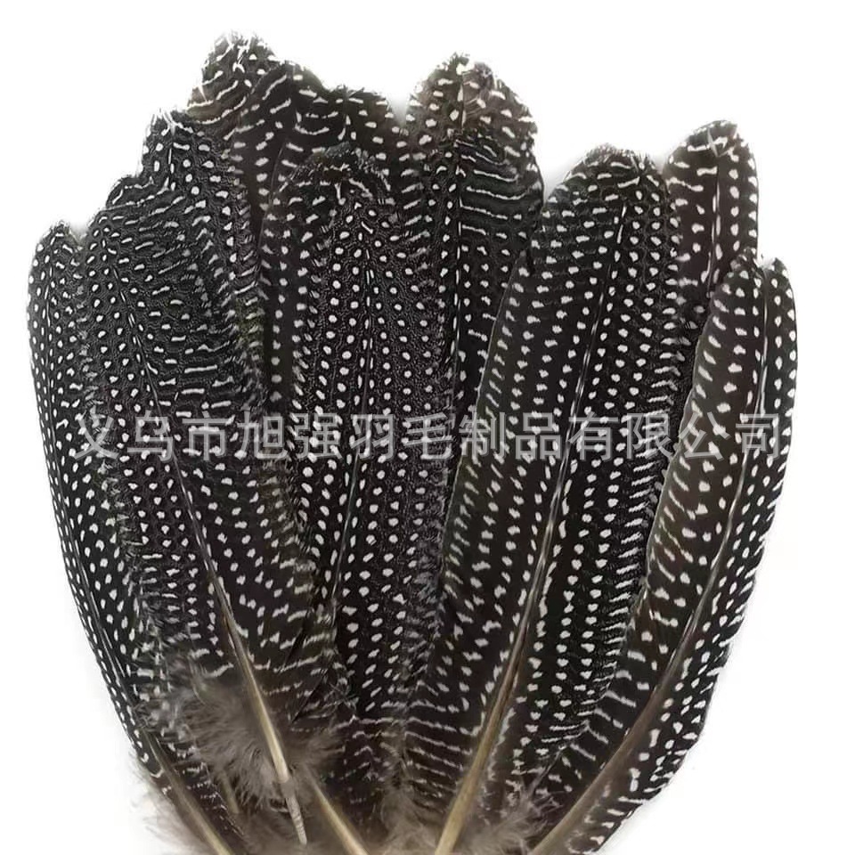 15-20cm /珍珠羽毛白底实物图