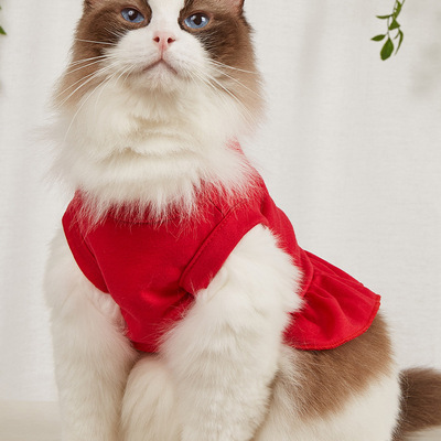 猫猫服饰实物图