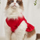 猫猫服饰实物图