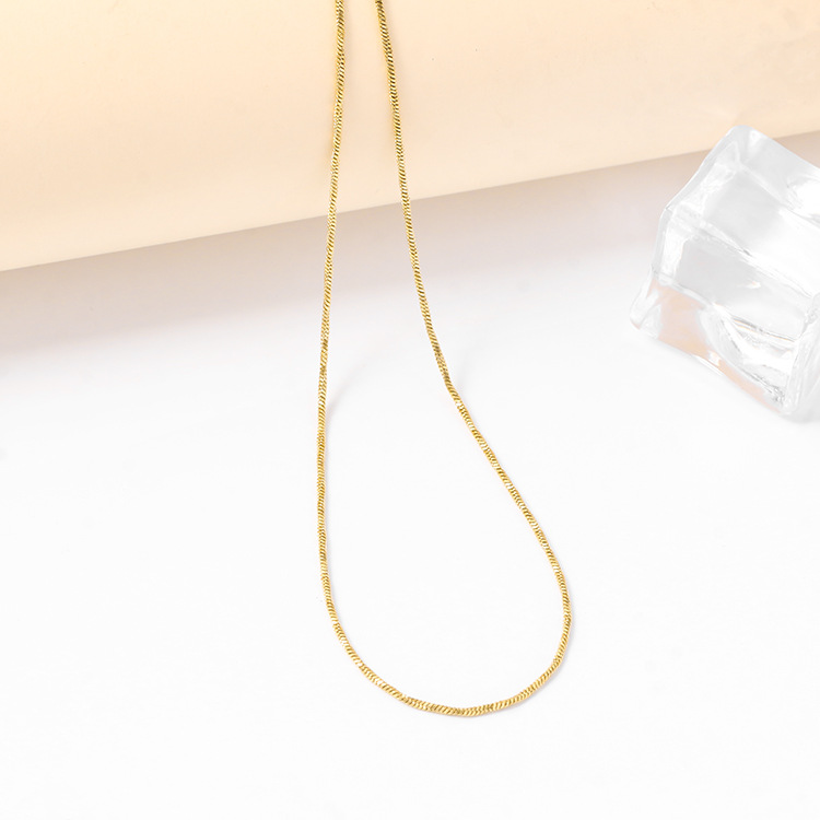 Factory direct sales, cross-border exclusive, simple and versatile snake bone necklace, high-end and light luxury style, a popular photo-taking necklace Application Scenario