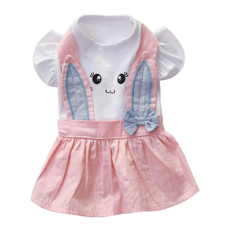 Pet clothing for spring and summer: Thin, comfortable and breathable dog skirts, fashionable and cute small dog clothes, pet clothing Item Picture