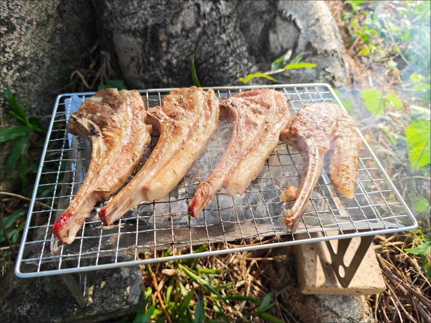 烧烤炉烧烤炉子户外烧烤炉露营烧烤炉一次性烧烤炉折叠烧烤炉详情14