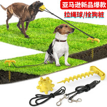 Pet supplies Outdoor dog peg peg leash dog walking dog tug of war dog toys