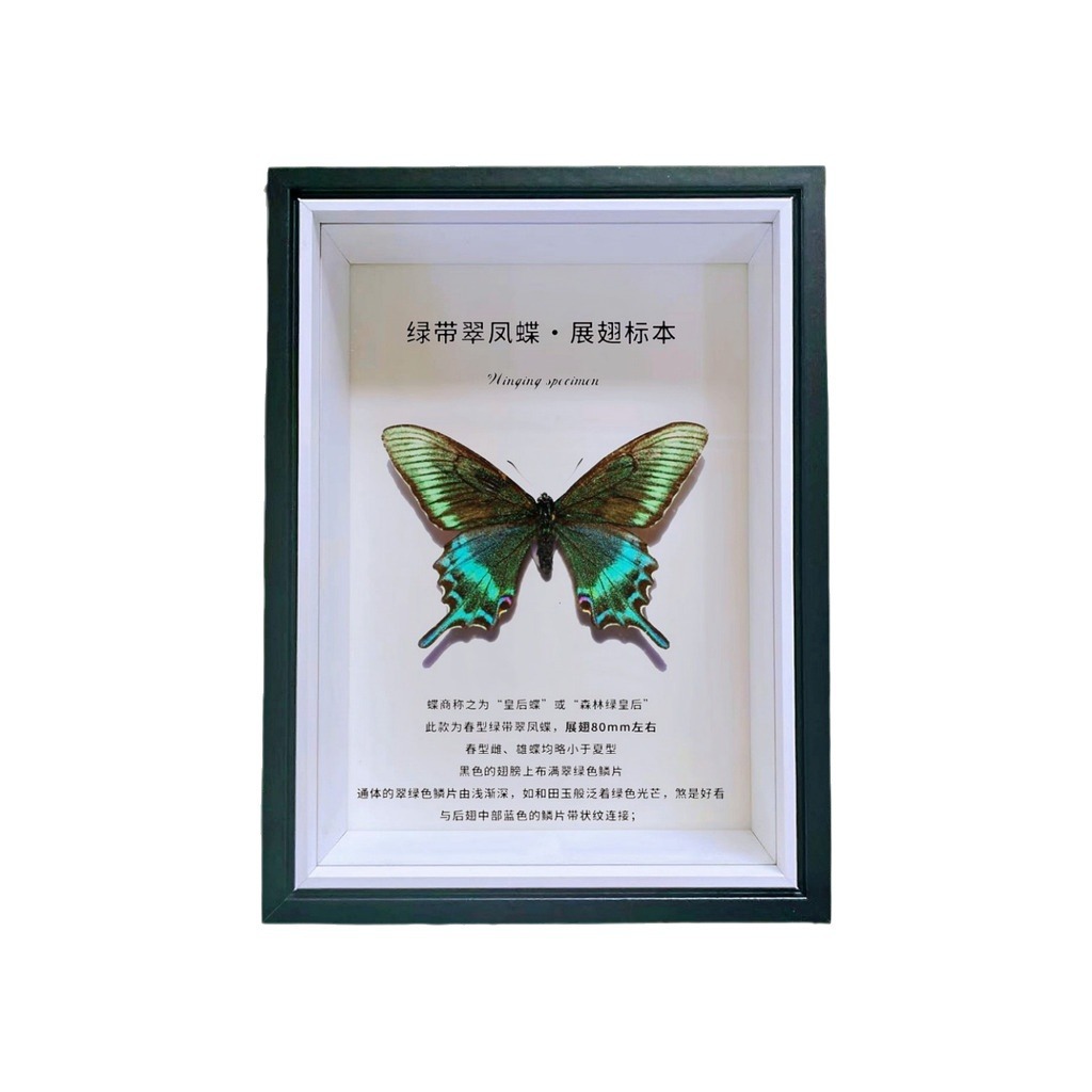 import白底实物图