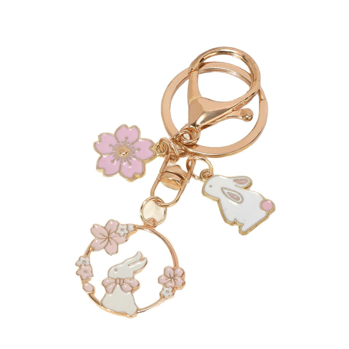 import白底实物图