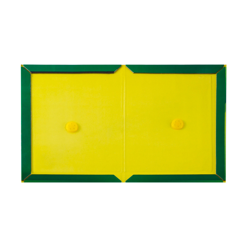 粘蝇纸/苍蝇拍实物图