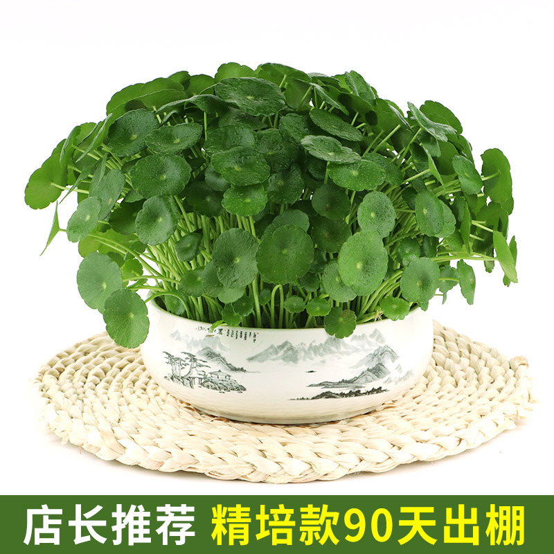 import细节图