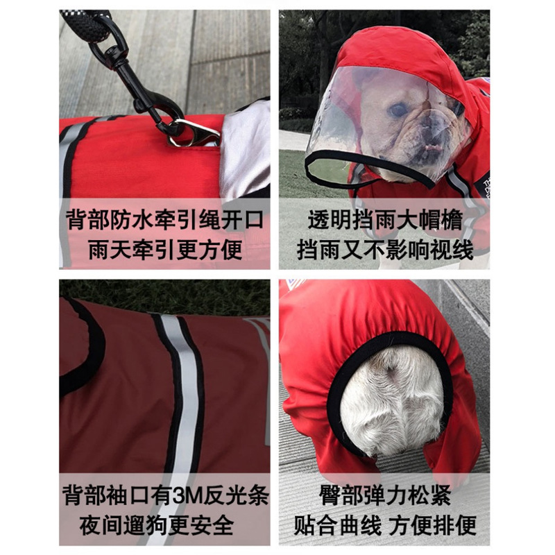 其他宠物周边用品实物图