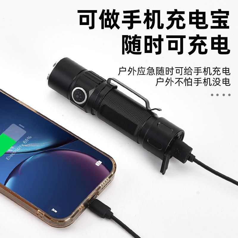 手电筒实物图