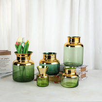 Nordic light luxury small mouth tracing gold glass vase transparent geometric green flower arranger decoration living room decoration wholesale