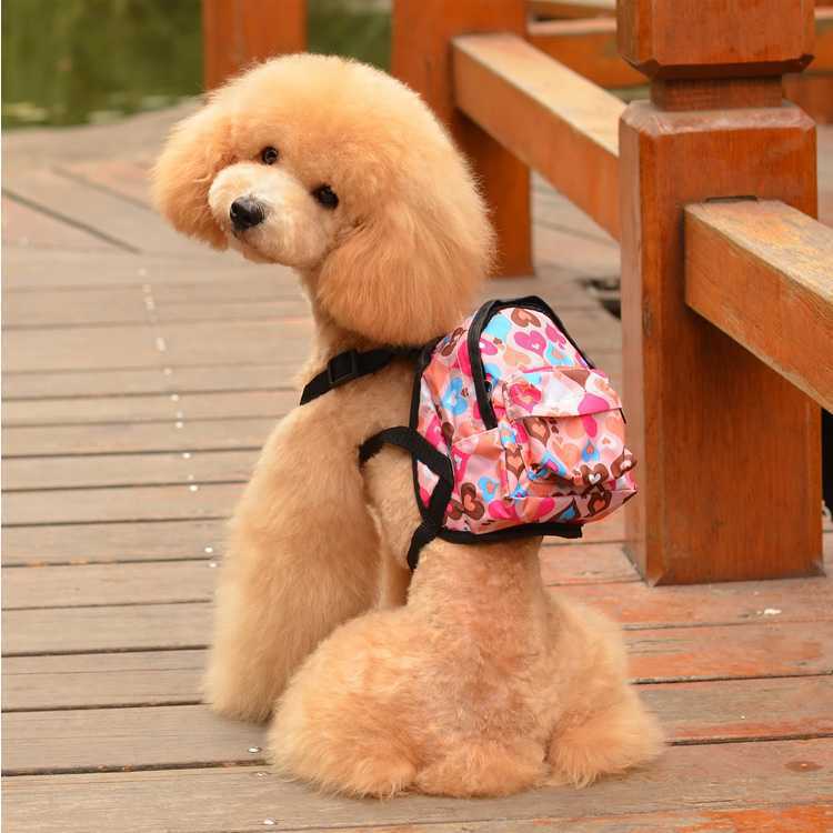 Pet backpack for portable and cute cartoon dog backpack with built-in leash. Dog schoolbag and pet backpack Item Picture