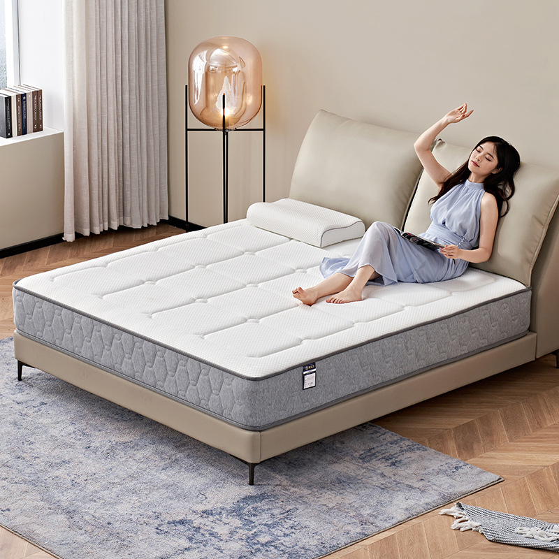 New fashionable 3D stereoscopic mattress with thickened spring mattress for home use