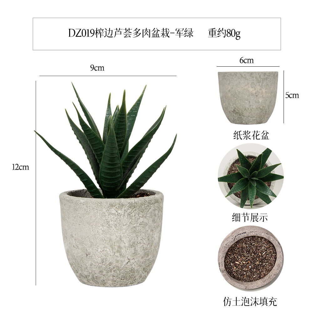 Amazon Simulation Succulent Pulp Pot 6-piece Home Decoration simulation Plant succulent bonsai set Specification image