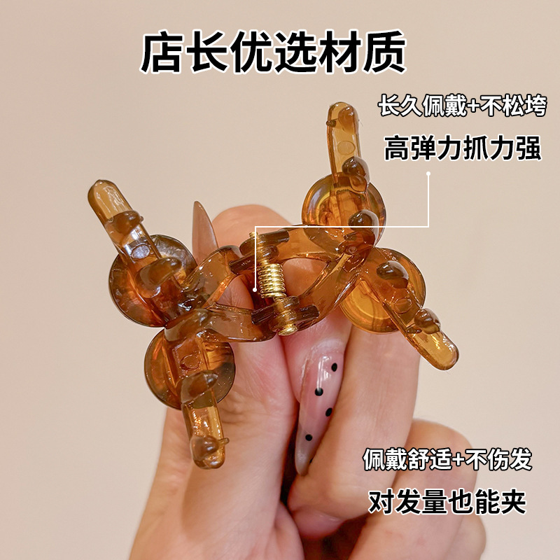 Autumn and winter coffee-colored small claw clip for women, half tied hair at the back of the head, side bangs, high-end shark clip hair accessory Application Scenario
