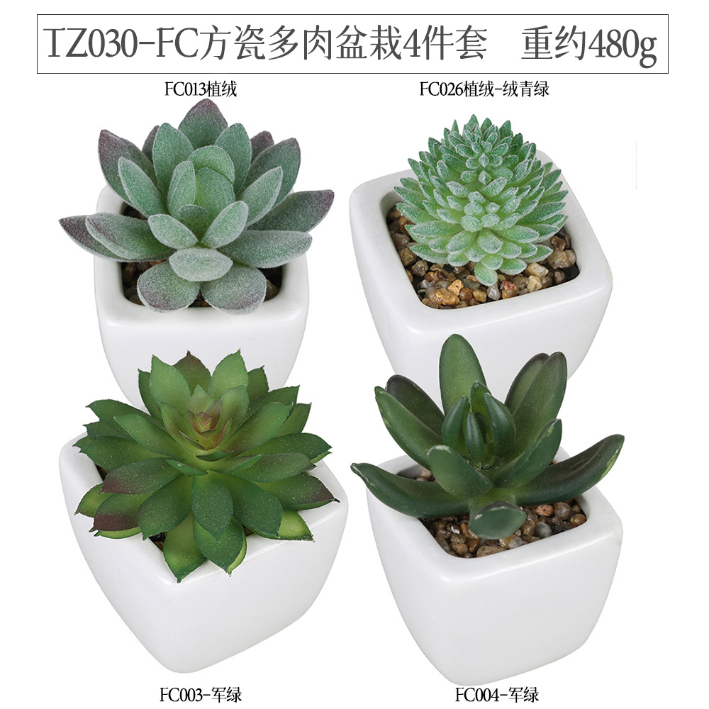 Amazon Succulent Square Ceramic pot 4-piece Home Decoration plant succulent bonsai set
