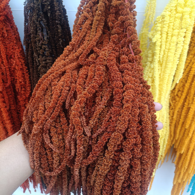 Dried flowers, preserved flowers, preserved hanging rice, Roulisi wedding decoration, hanging factory, direct delivery, preserved hanging rice wholesale, dried flowers pic 11