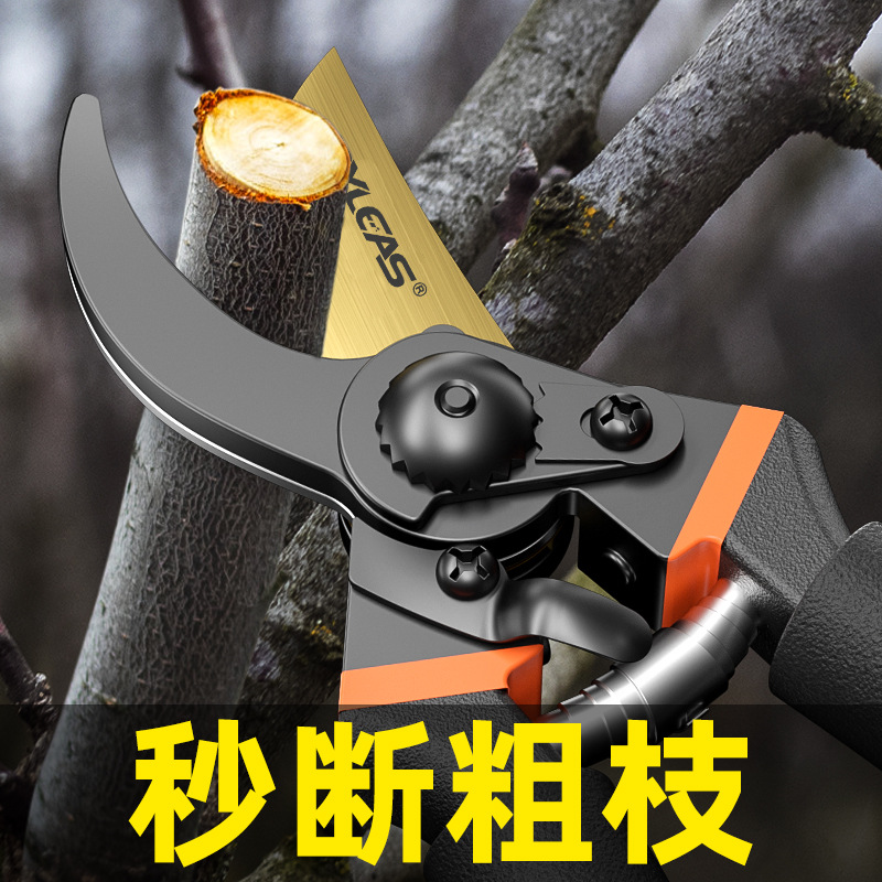 园艺剪刀批发果树修枝剪园林粗枝剪树枝用的剪刀花艺修枝剪摘果剪