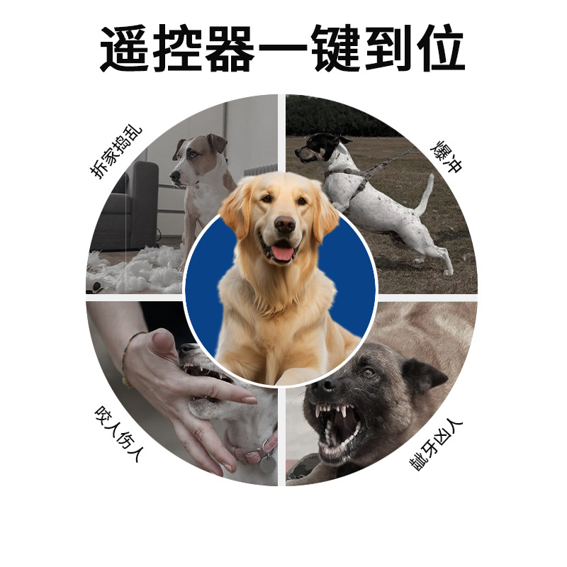 宠物智能/医疗智能老人细节图