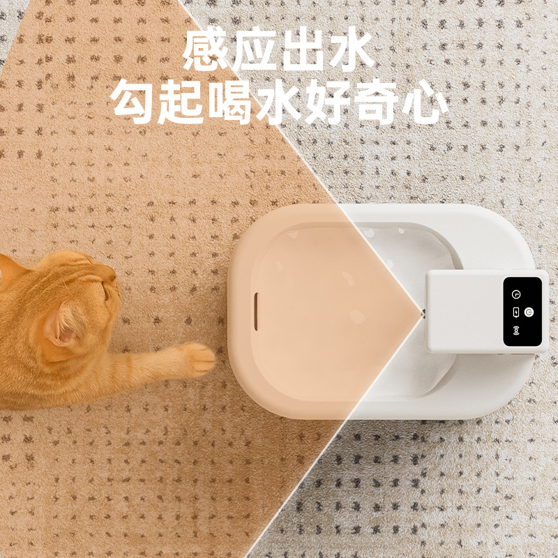 猫猫窝、笼实物图