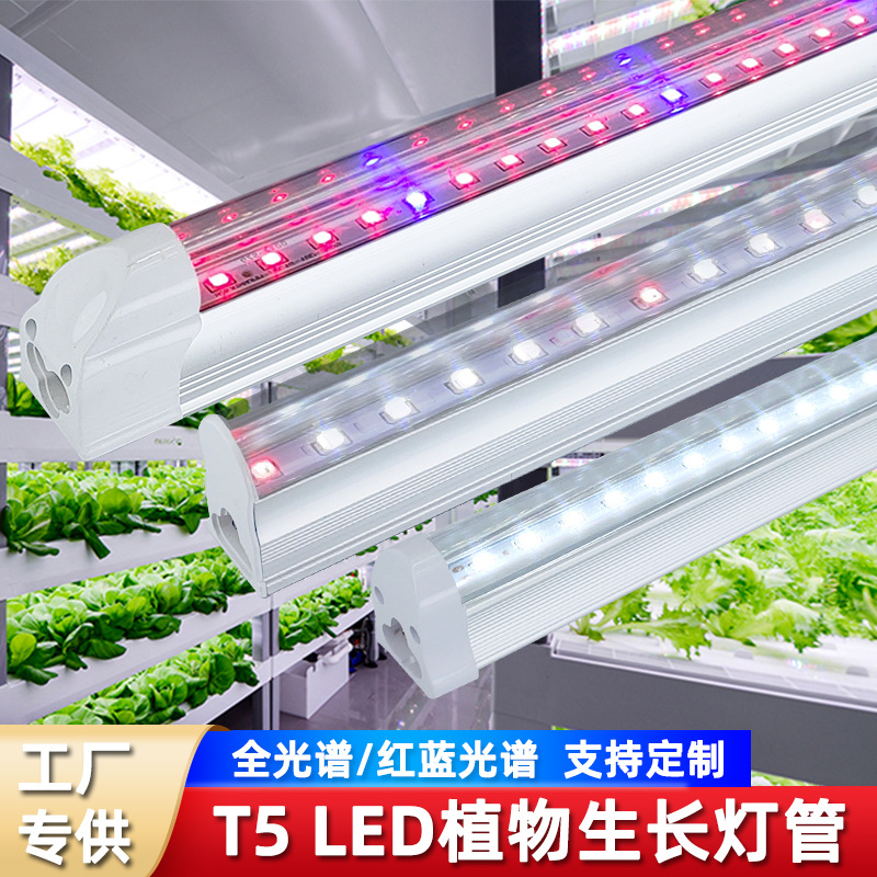 Indoor tissue culture seedling raising, vertical agriculture rack planting, hydroponic vegetable growth supplementary lighting full-spectrum t5 plant lamp full figure