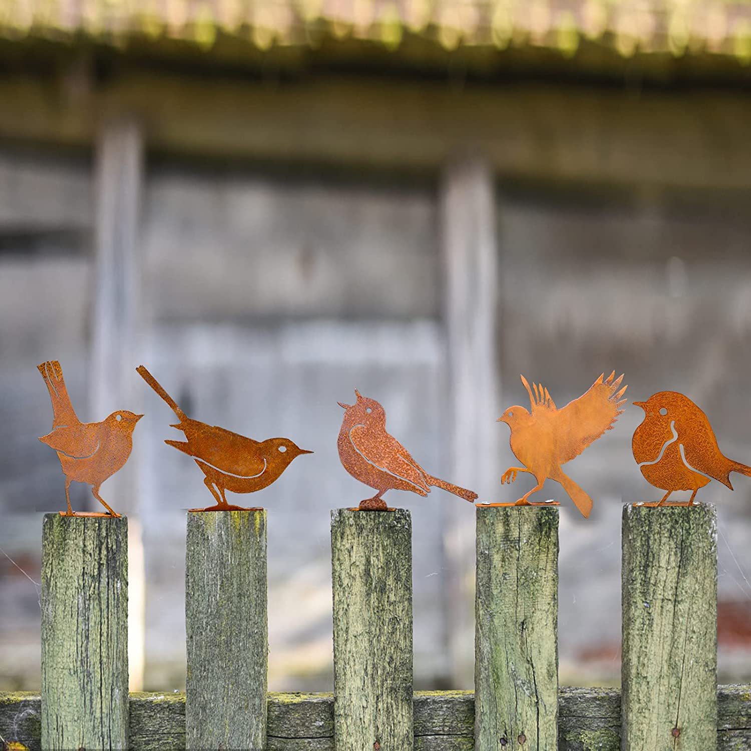 跨境爆款生锈的五只鸟剪影庭院花园螺丝摆件雕塑5PCS Rusty Birds详情图4