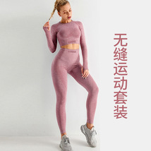 秋冬瑜伽服上衣女提臀套装长袖加厚欧美运动跑步瑜伽裤健身高级感