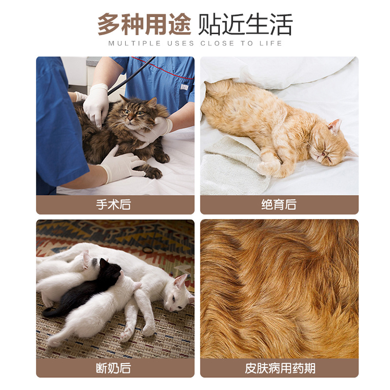 猫猫服饰实物图