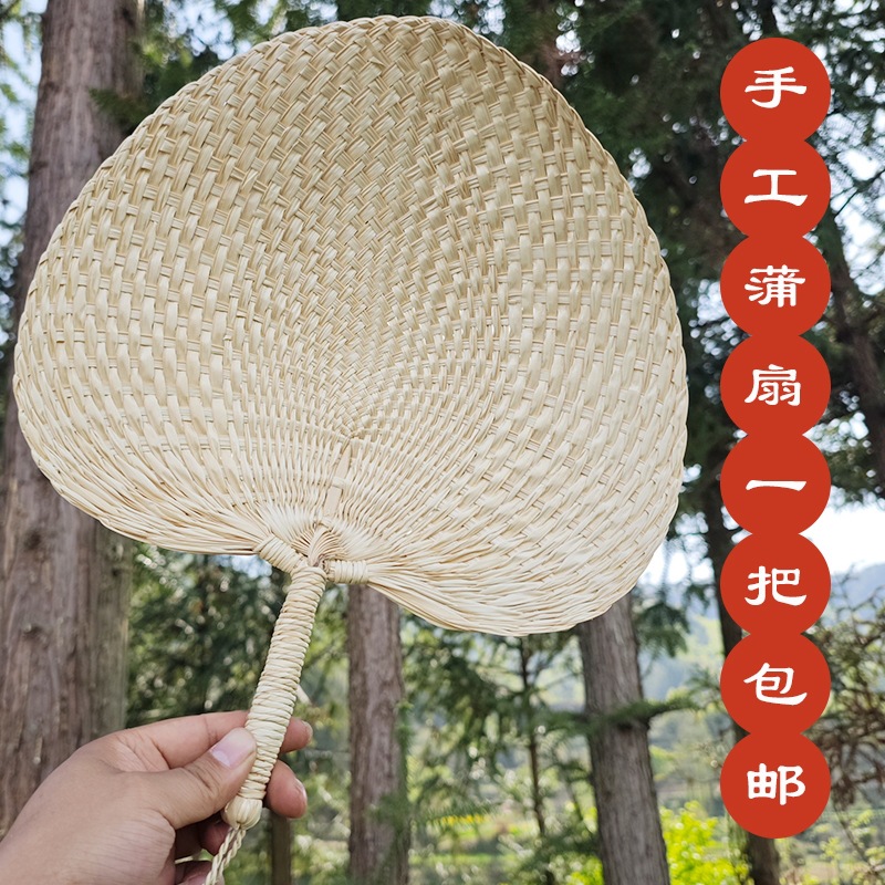 蒲扇子夏季扇男手工草编扇折扇手摇扇宝宝纳凉驱蚊扇子棕叶大蒲扇