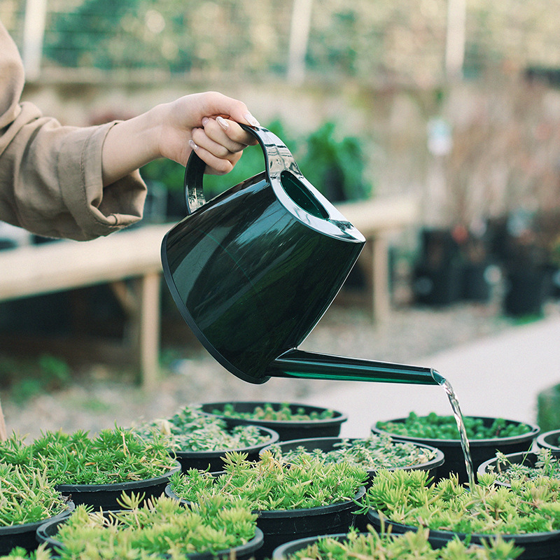 Cross-border watering can, garden watering and spraying can, household spraying can, long-spout watering can, potted plant watering can, watering can Specification image
