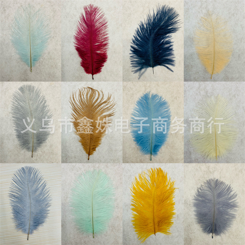鸵鸟毛网红拍照背景墙羽毛装饰羽毛批发