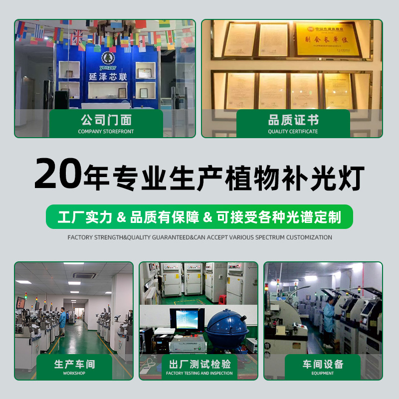 Full-spectrum cross-border flower greenhouse, household indoor succulent lamp, coloring and supplementary lighting lamp, T8LED plant lamp, growth lamp details Picture