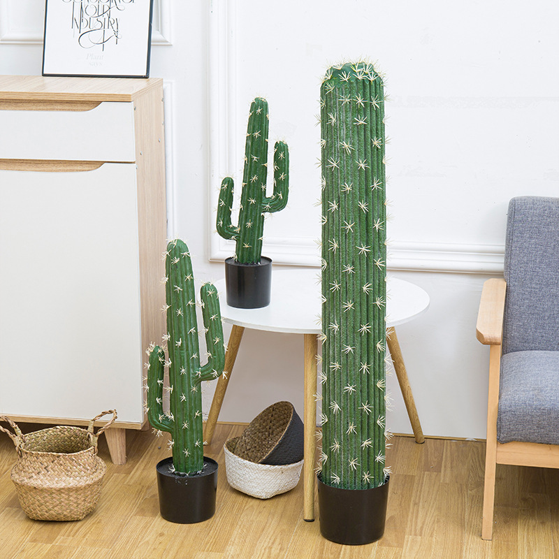 仿真植物实物图