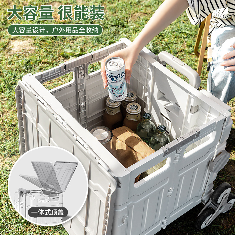 行李箱/行李箱登机箱/拉杆箱/轮椅/电动拉杆箱细节图