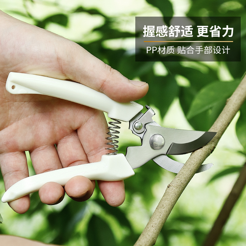 修枝剪实物图