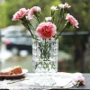 French light luxury glass vases, transparent water-grown flower vases, European-style dining table and living room decorative items, BT series Application Scenario
