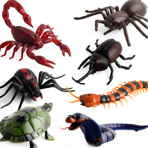 Foreign trade 30 infrared remote control electric cockroach simulation sensing cockroach spider ants trick animal toys