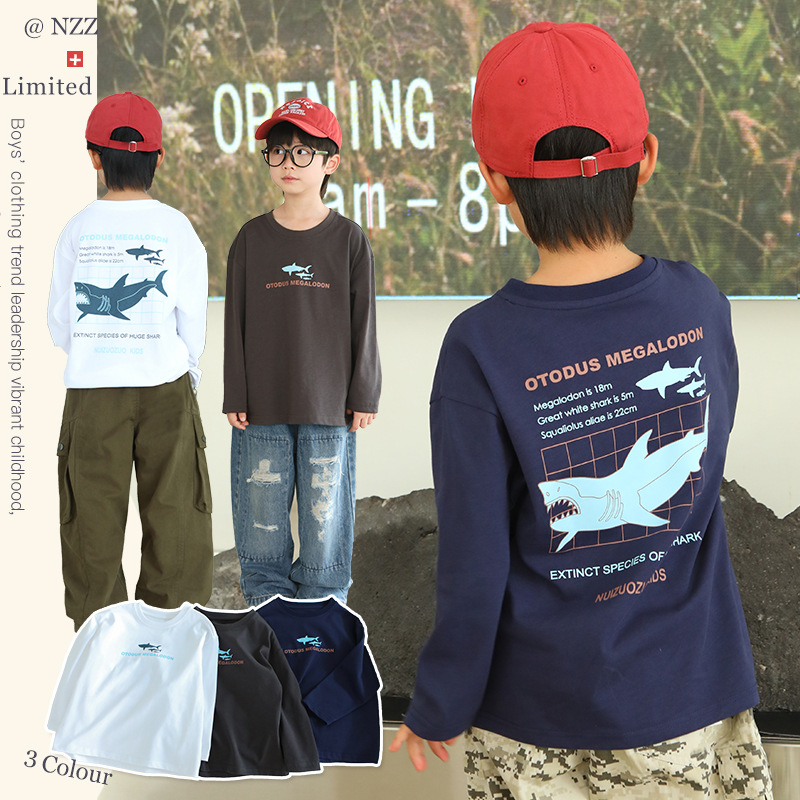 童装男童长袖T恤纯棉儿童T恤衫2025秋装新款中大童洋气外穿衣服