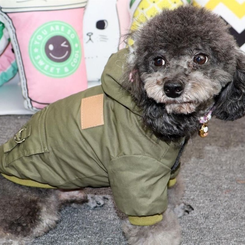 New autumn and winter pet dog workwear, cotton-padded jacket with fleece collar, mountaineering suit, small dog winter clothing and warm cotton-padded jacket Specification image