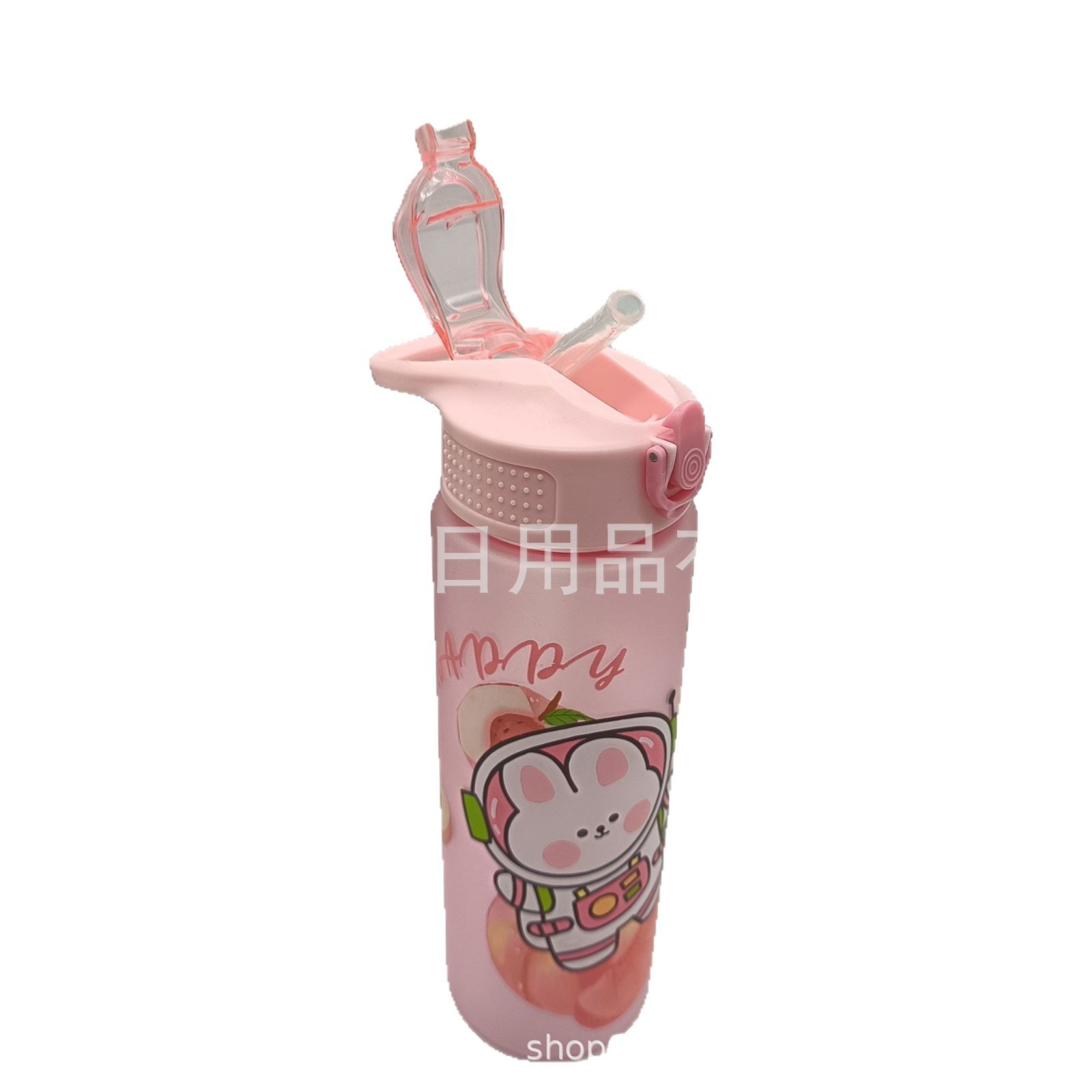 Amazon's new summer frosted, blank, cute animal and fruit pattern series of children's and students' sports water bottles Item Picture