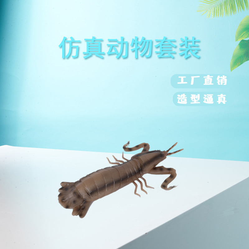 仿真大皮皮虾PVC高质量皮皮虾模型BB叫皮皮虾仿真模型海洋动物玩细节图