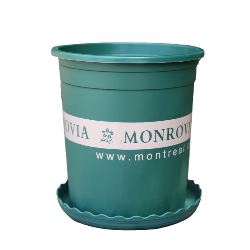 import白底实物图