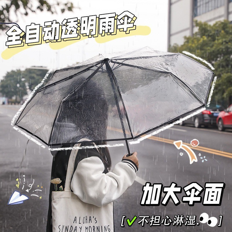 8骨透明雨伞自动折叠清新男女通用长柄雨伞半自动雨伞学生伞批发