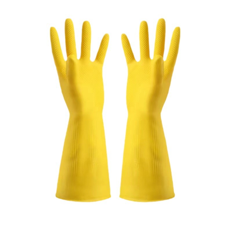 import白底实物图