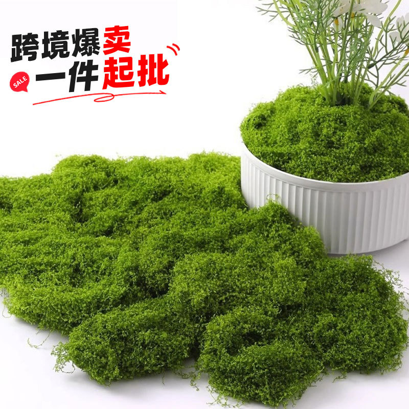 仿真苔藓青苔造景仿生假草皮微景观布置摆件草坪盆栽盆景
