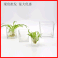 绿萝植物水培方缸客厅创意桌面花瓶欧式加厚描金正方形玻璃烛台图