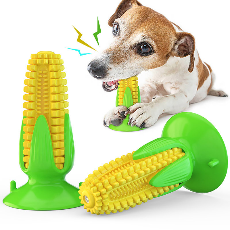 宠物用品玉米/宠物玩具/狗狗牙刷白底实物图