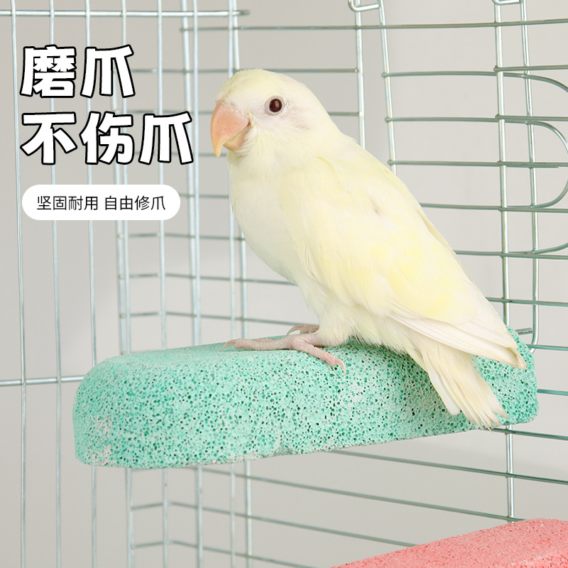 Palo de la estación del loro suministros del pájaro accesorios de la jaula del pájaro palo de molar del loro juguetes palos de la garra de molienda soportes de la estación de mate polos plataforma Specification image